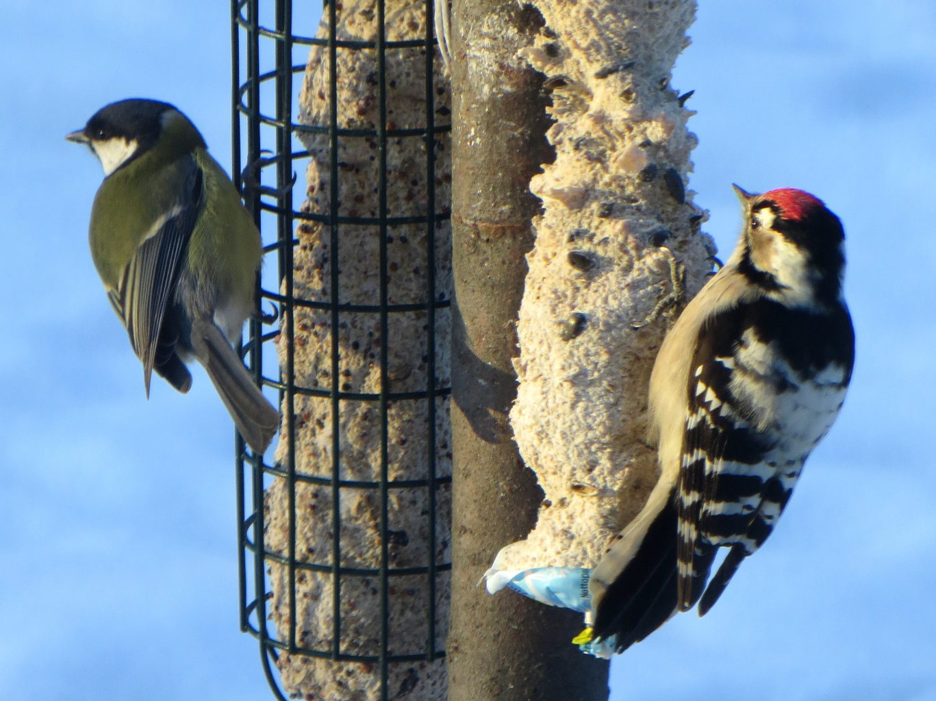 Valokuvaaja: Sirkka Ruotoistenmäki
