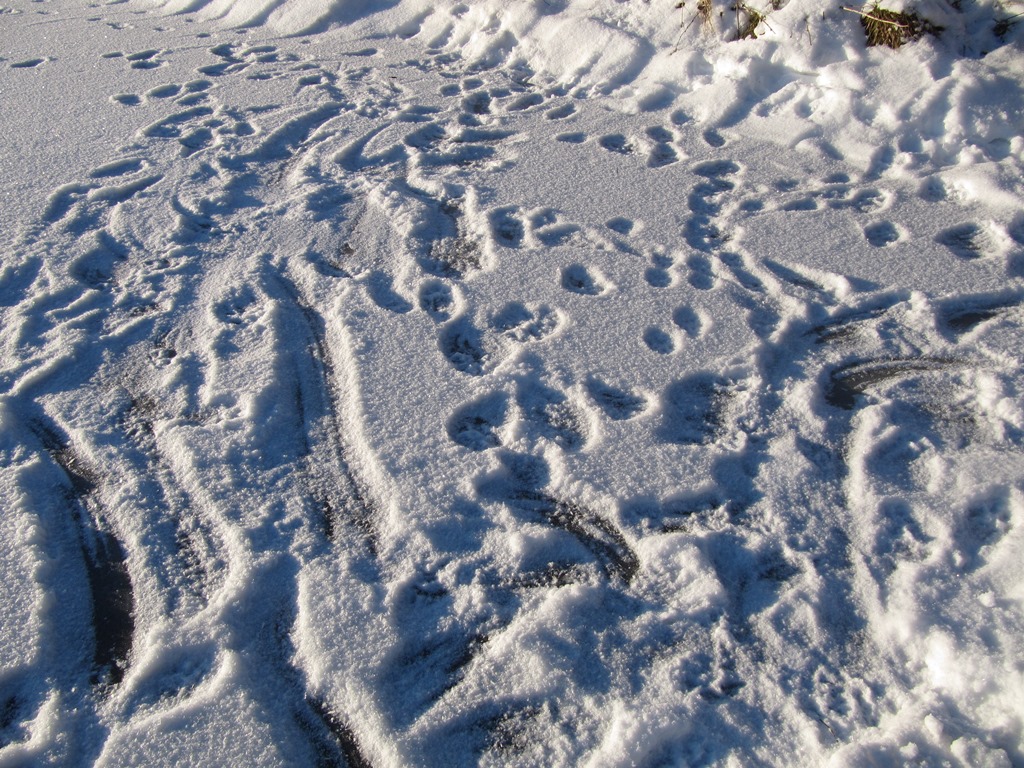 Valokuvaaja: Kaarina Heiskanen
