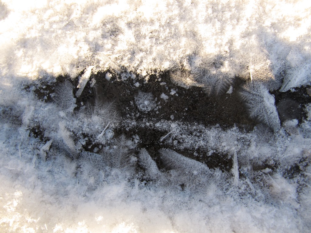 Valokuvaaja: Kaarina Heiskanen