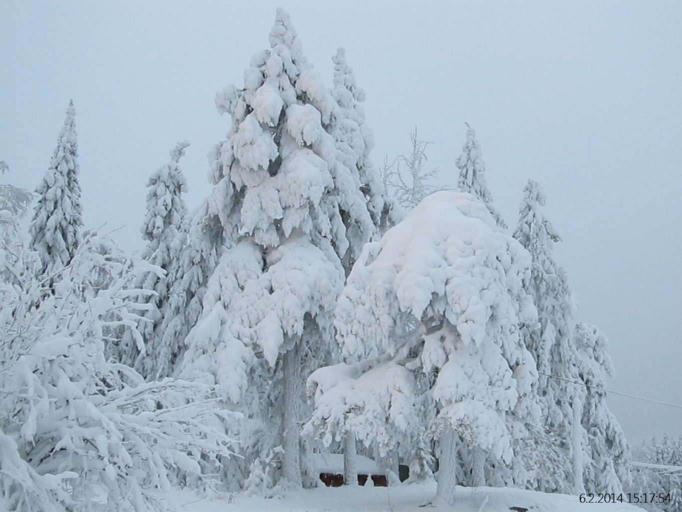 Valokuvaaja: Tuula Makkonen