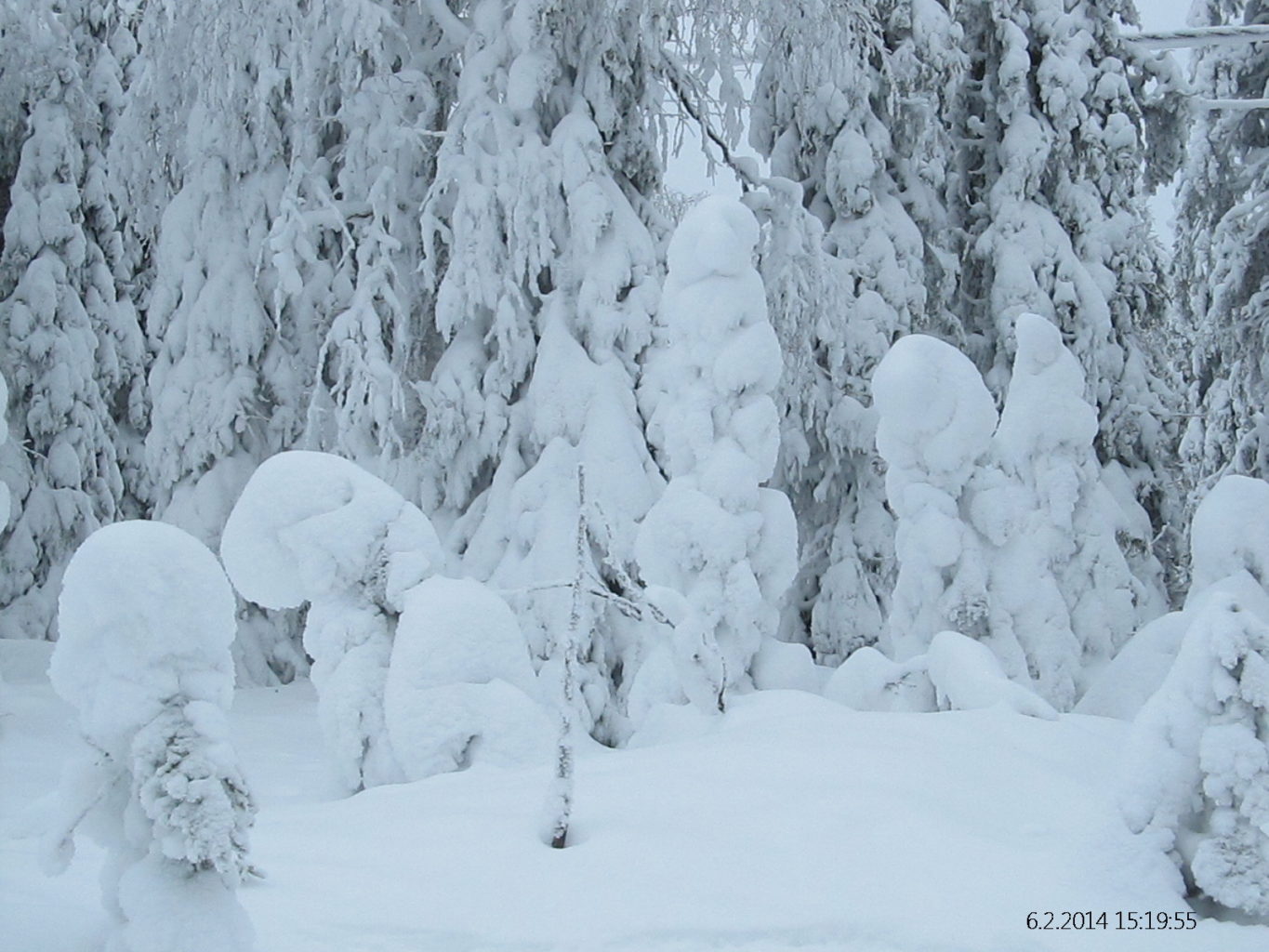 Valokuvaaja: Tuula Makkonen