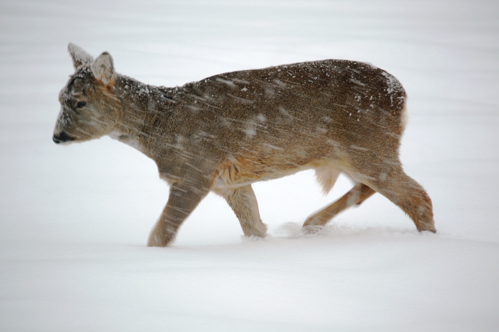 Valokuvaaja: Kaarina Heiskanen