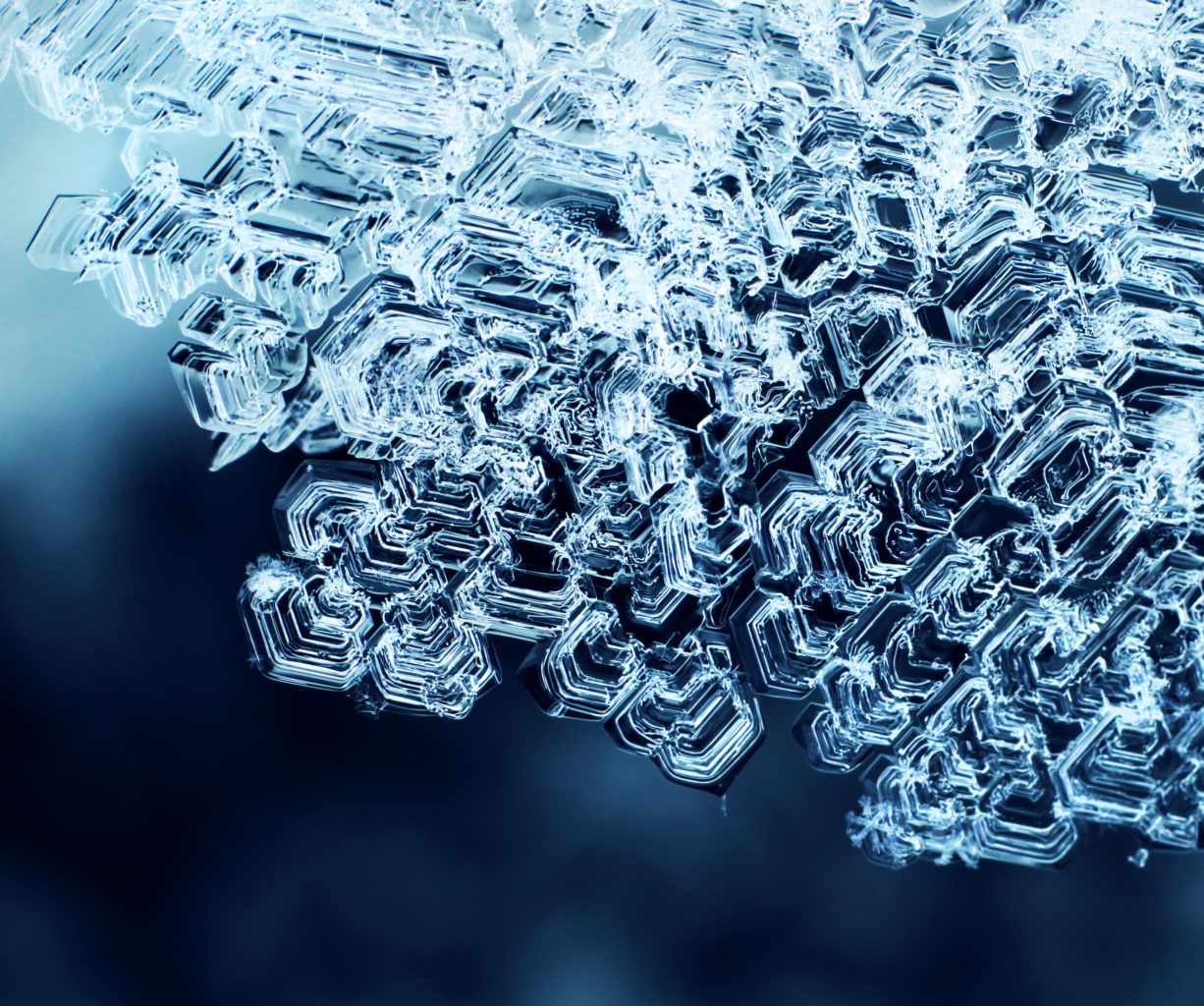 Valokuvaaja: Tarja Porkkala