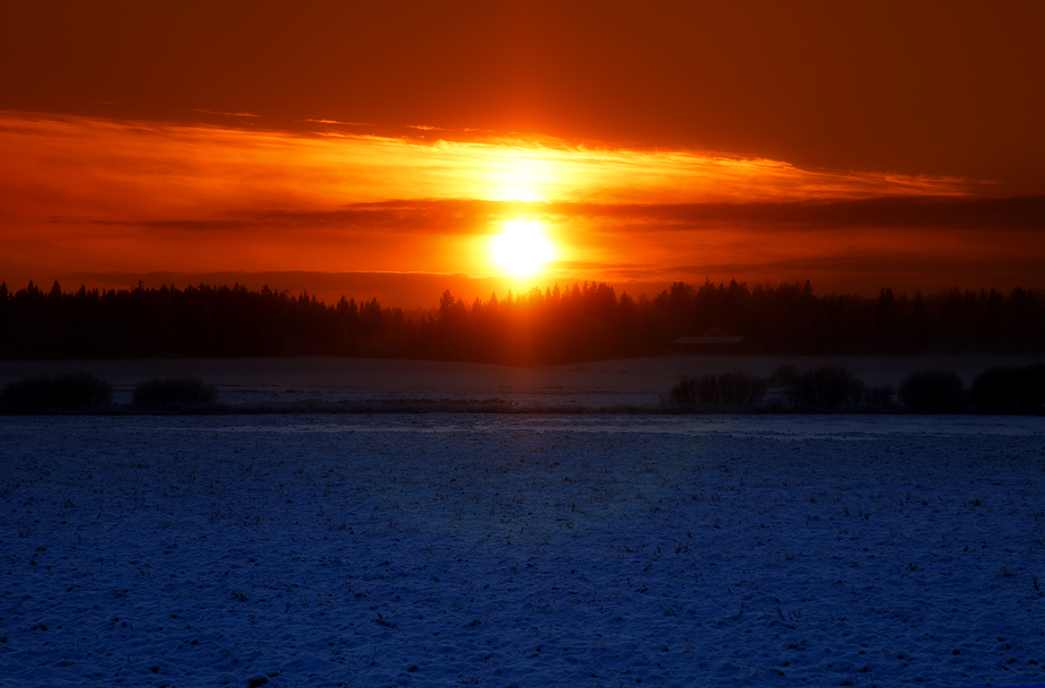 Valokuvaaja: Timo Ahola