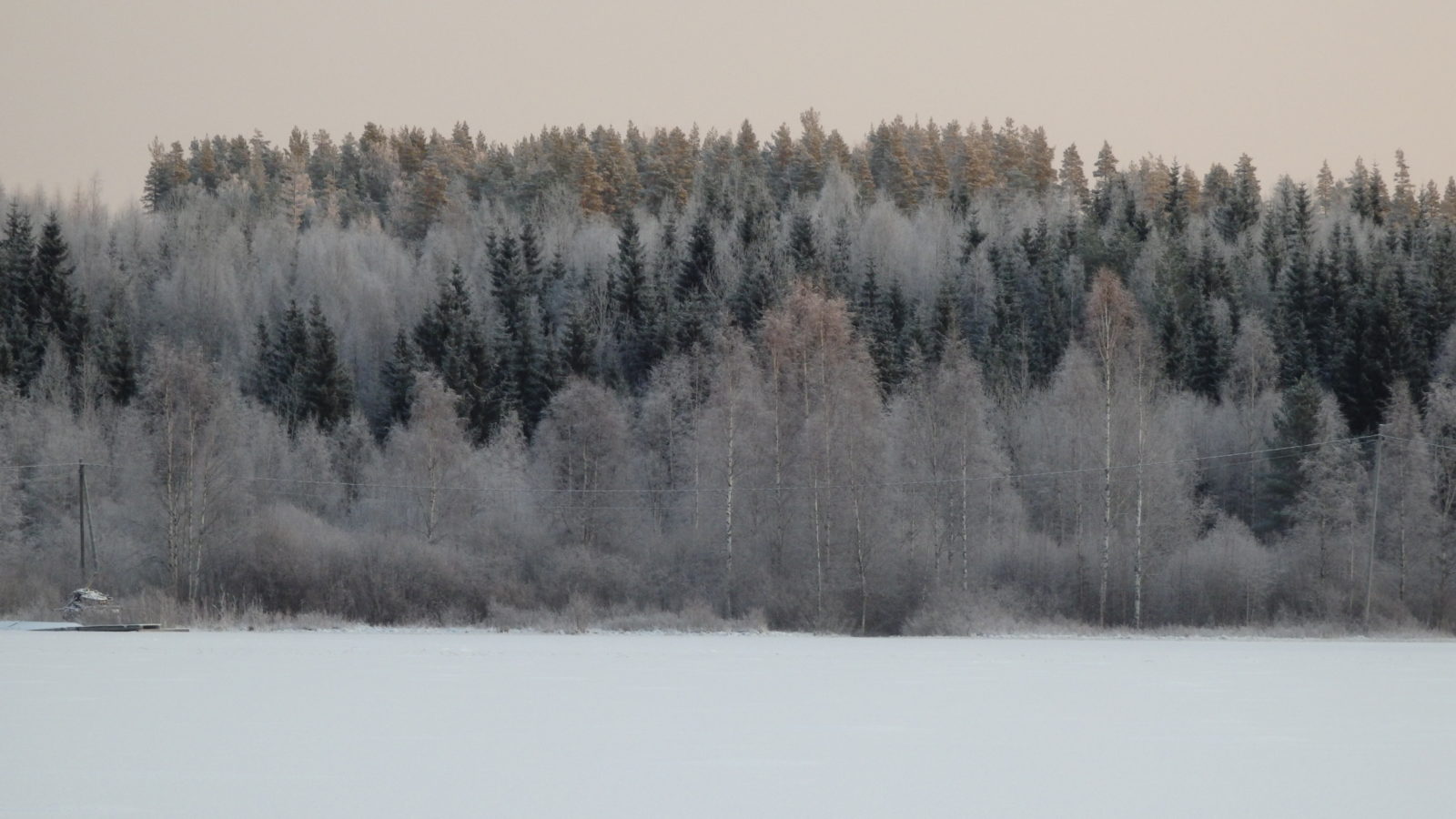 Valokuvaaja: taisto hämäläinen
