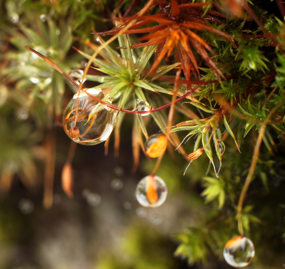 Valokuvaaja: Tarja Porkkala