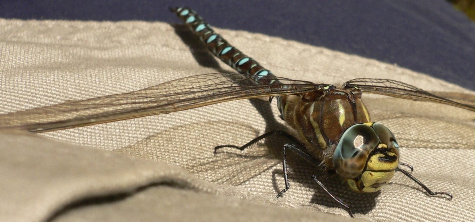 Valokuvaaja: Markku Kuisma