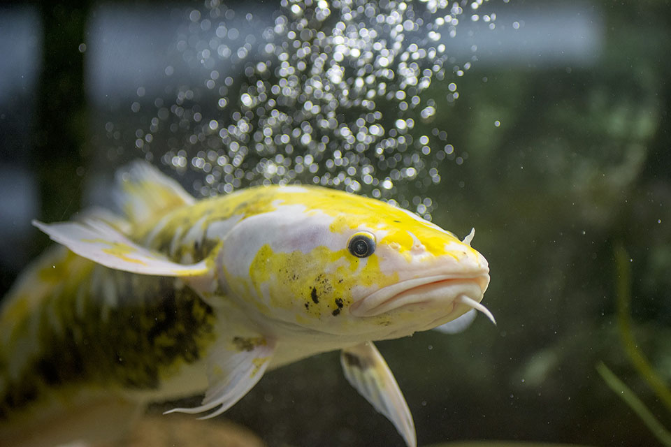 Valokuvaaja: Pekka Vainio