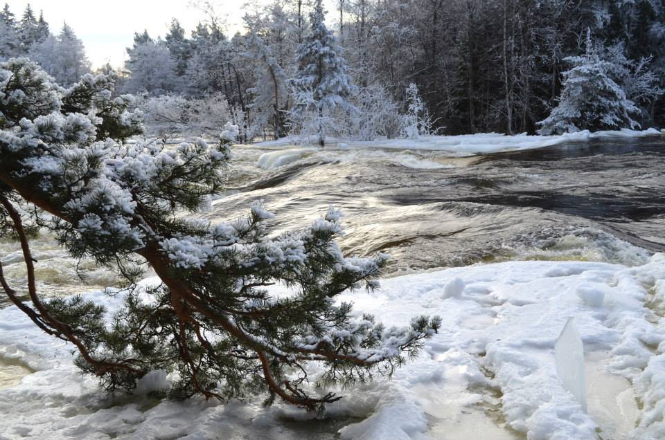 Valokuvaaja: Eija Varjola