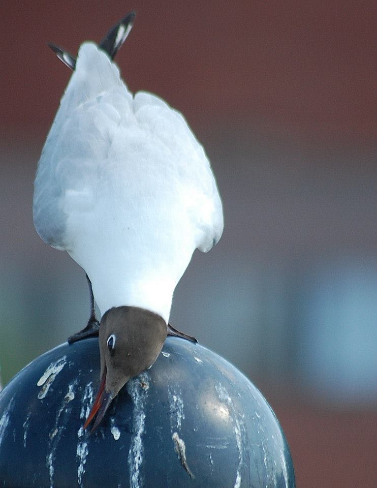 Valokuvaaja: Eija Varjola