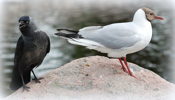 Valokuvaaja: Eija Varjola