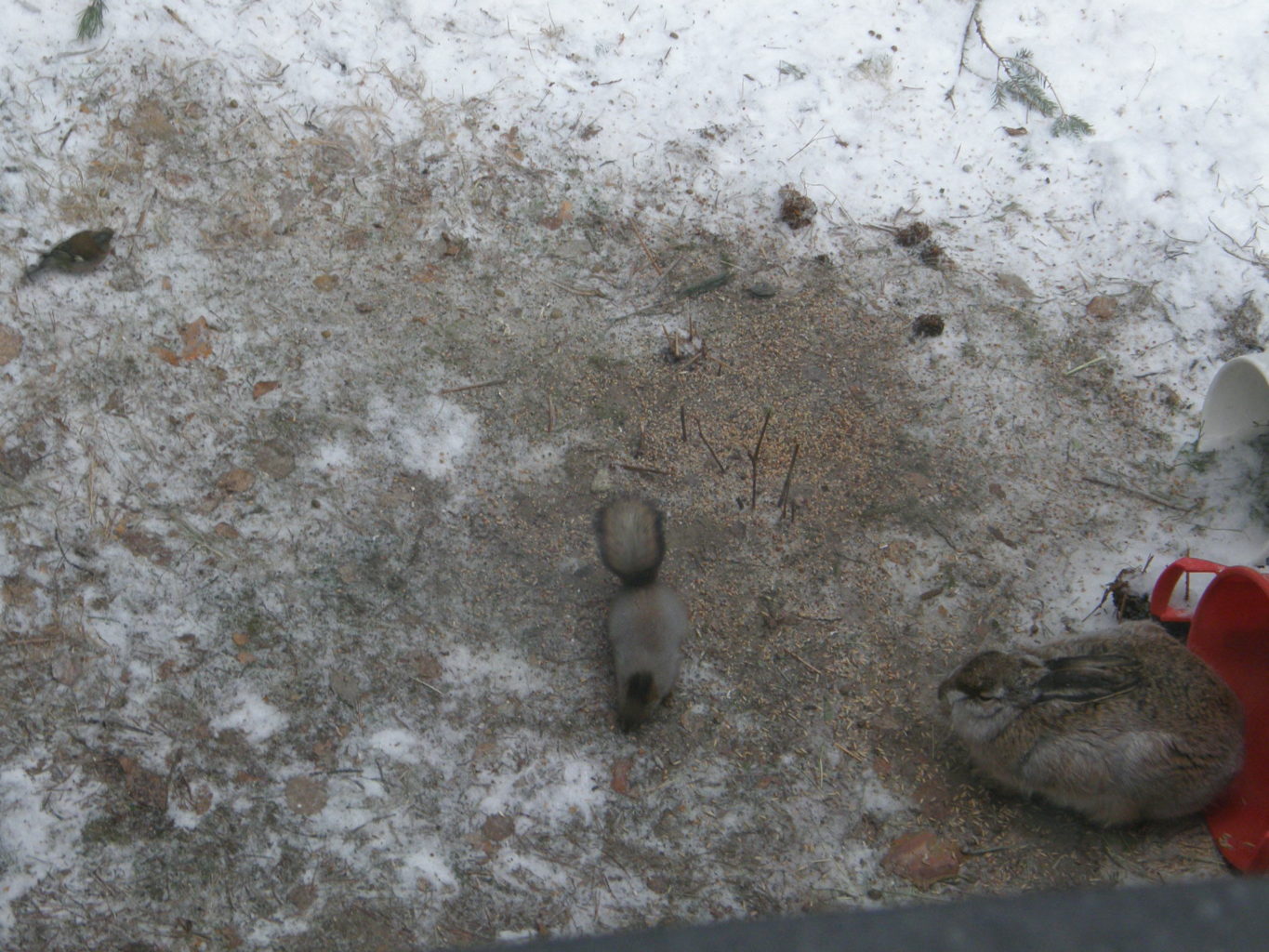 Valokuvaaja: Tenho Leuanniemi