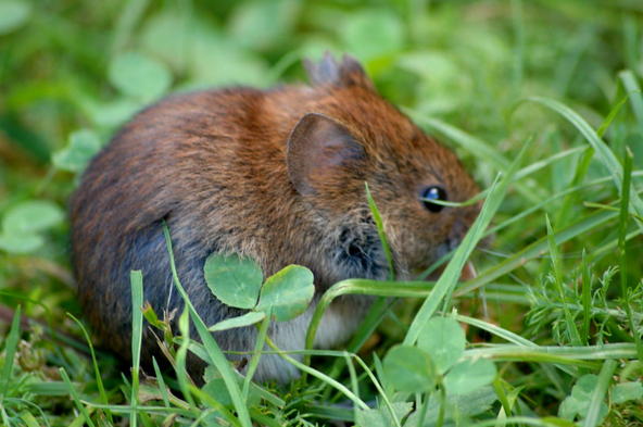 Valokuvaaja: Eija Varjola