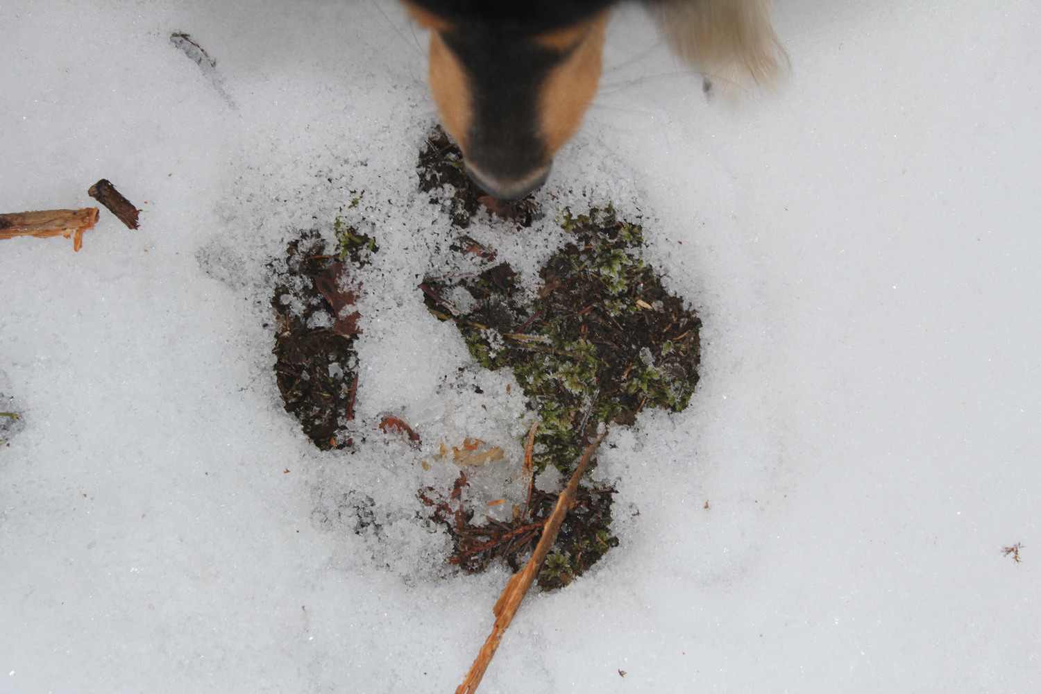 Valokuvaaja: marjo-riita le maut