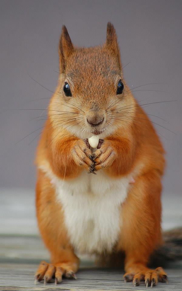 Valokuvaaja: Eija Varjola