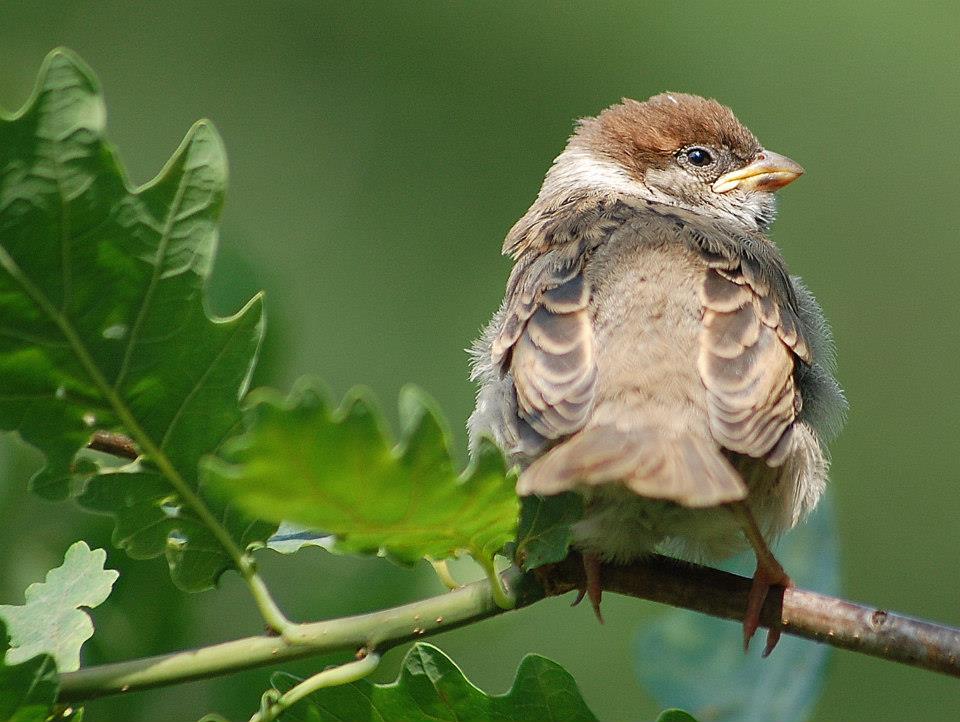 Valokuvaaja: Eija Varjola