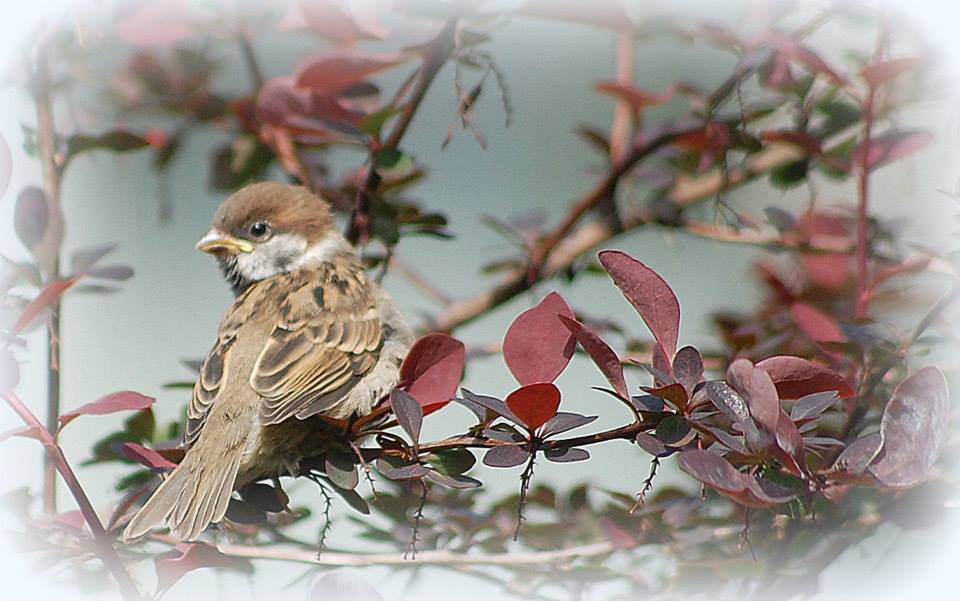 Valokuvaaja: Eija Varjola