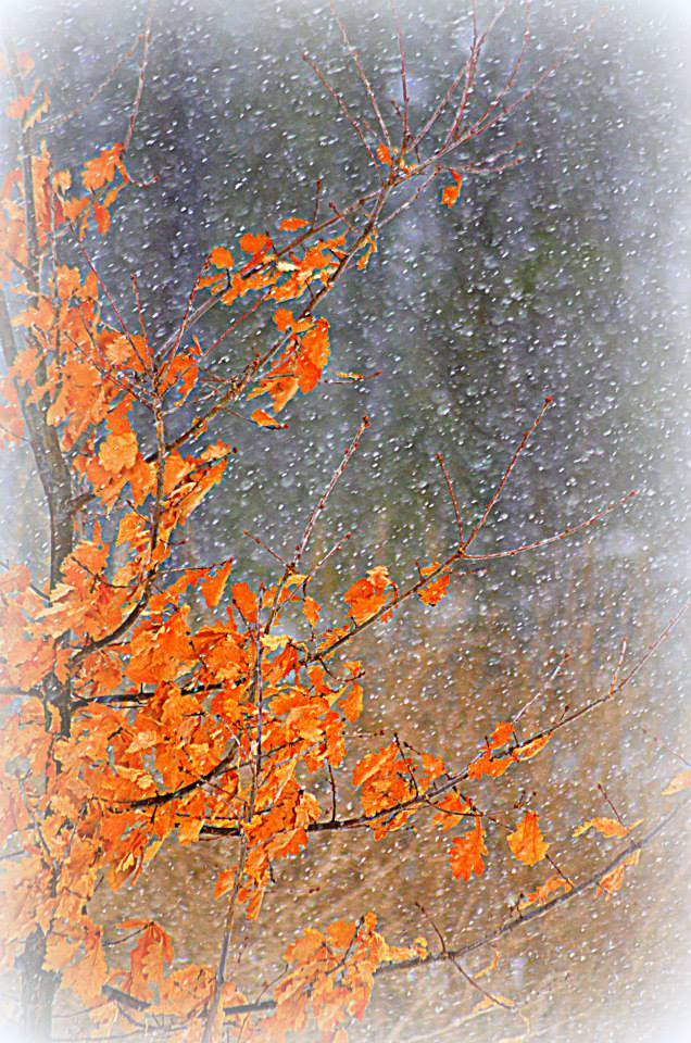 Valokuvaaja: Eija Varjola