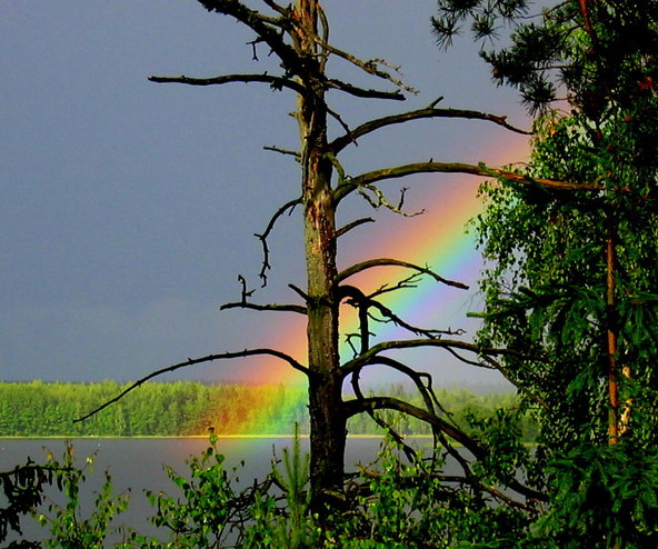 Valokuvaaja: Eija Varjola