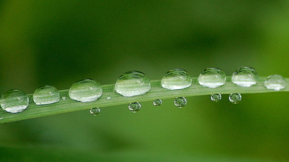 Valokuvaaja: Eija Varjola