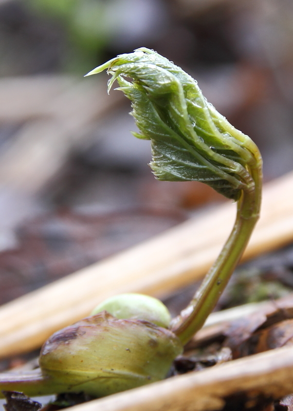 Valokuvaaja: Hanna Järvinen