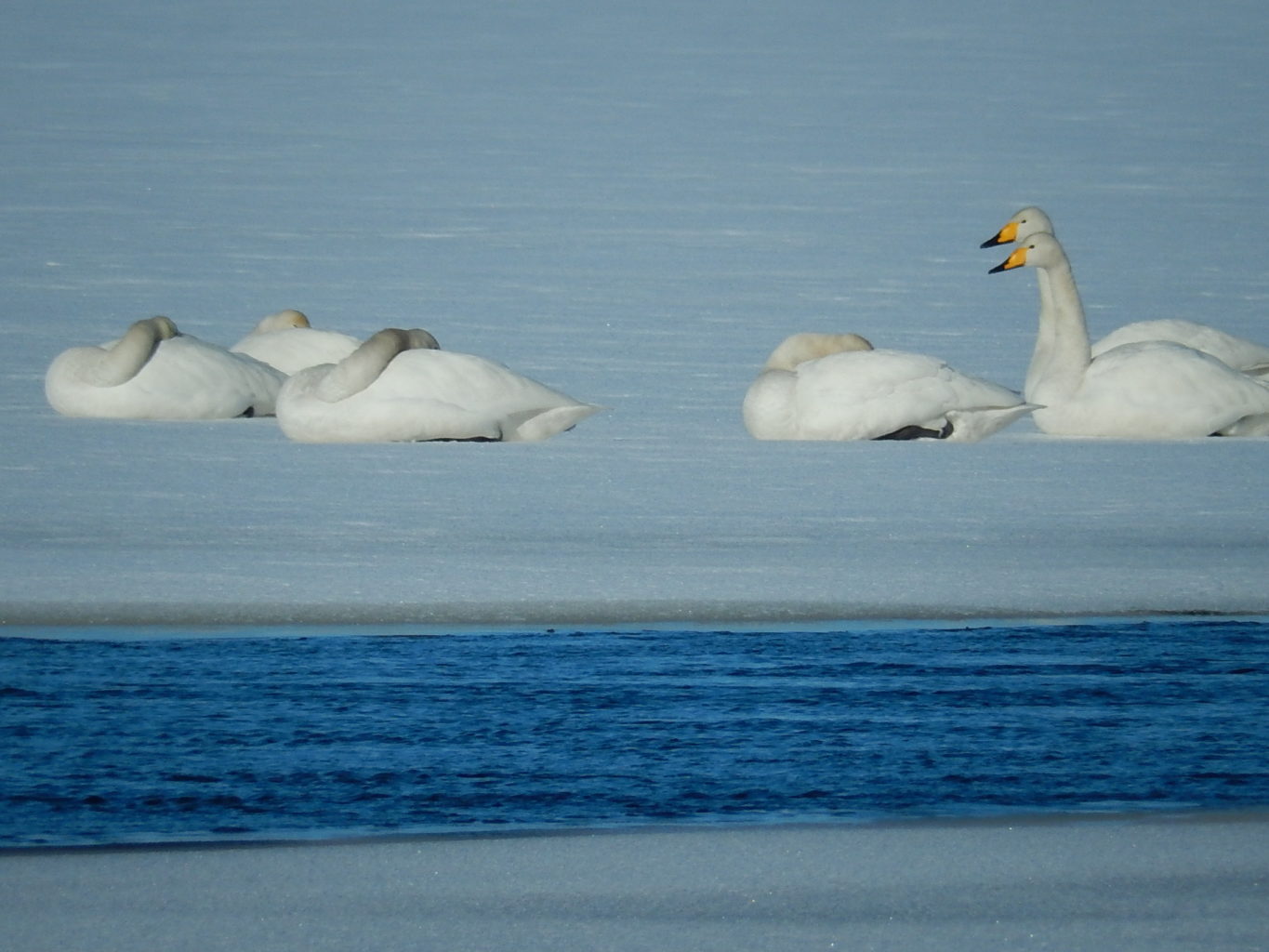 Valokuvaaja: Pirkko Siukonen Valokuvaaja: Pirkko Siukonen