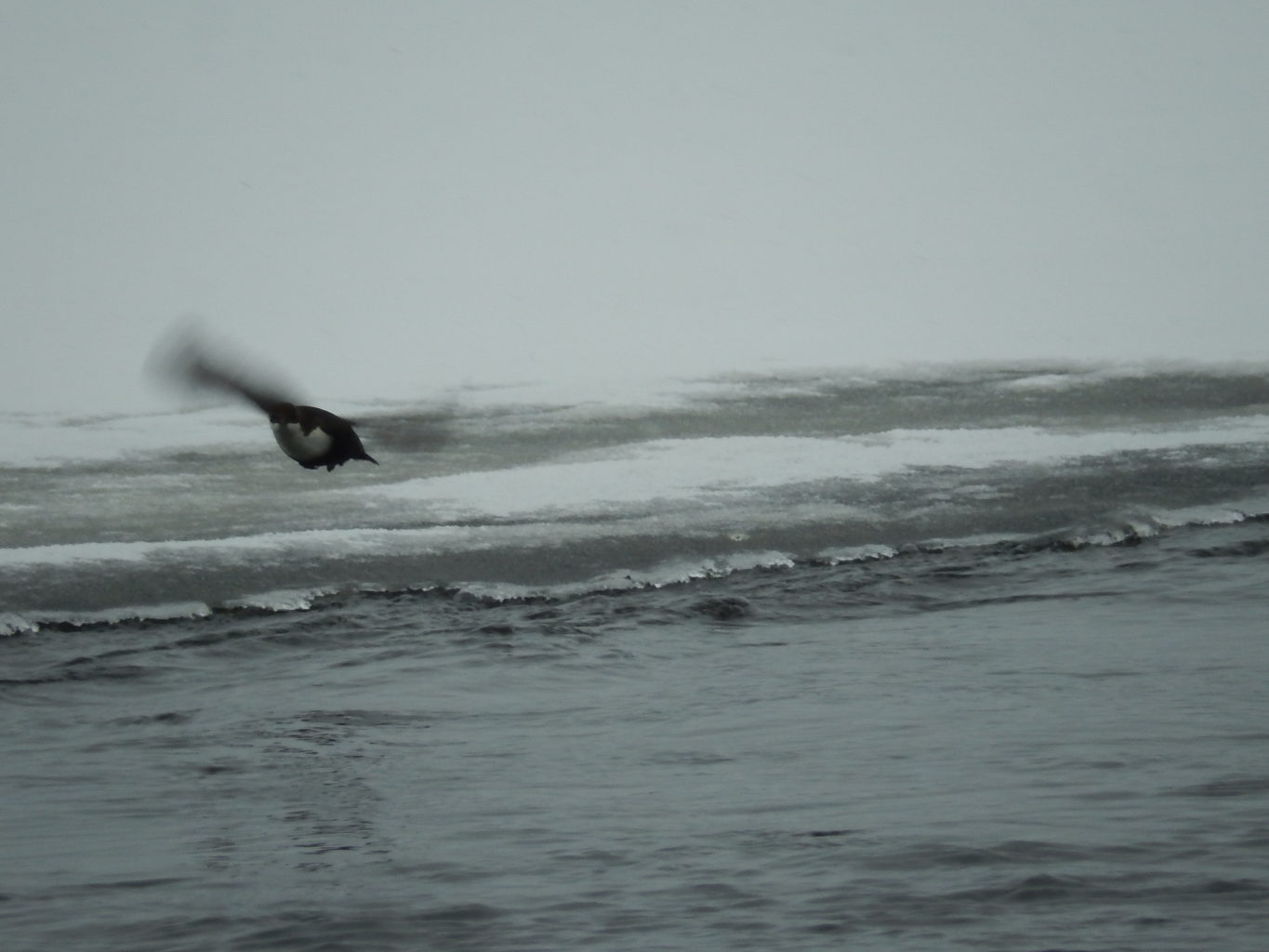 Valokuvaaja: Pirkko Siukonen