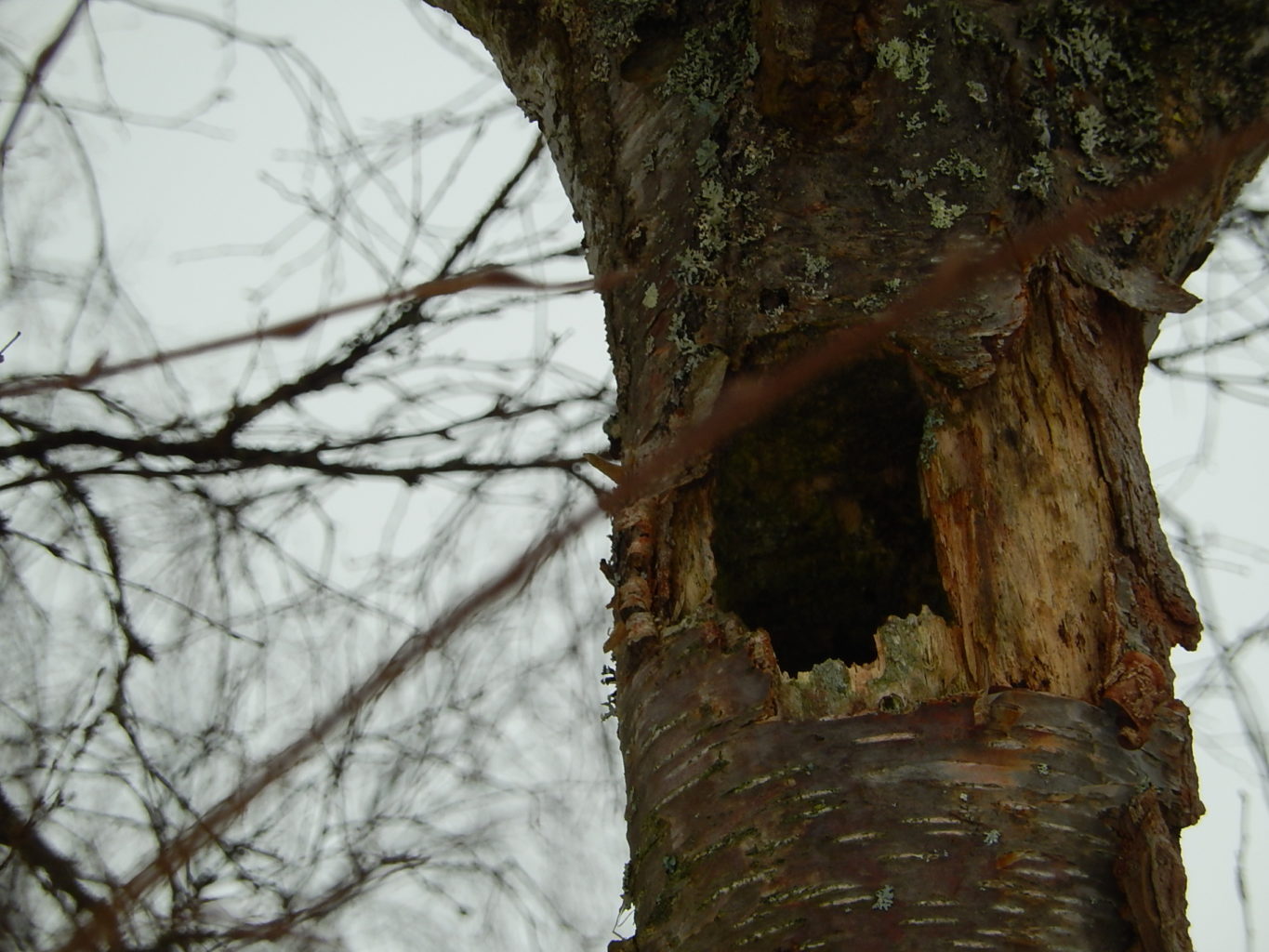 Valokuvaaja: Pirkko Siukonen