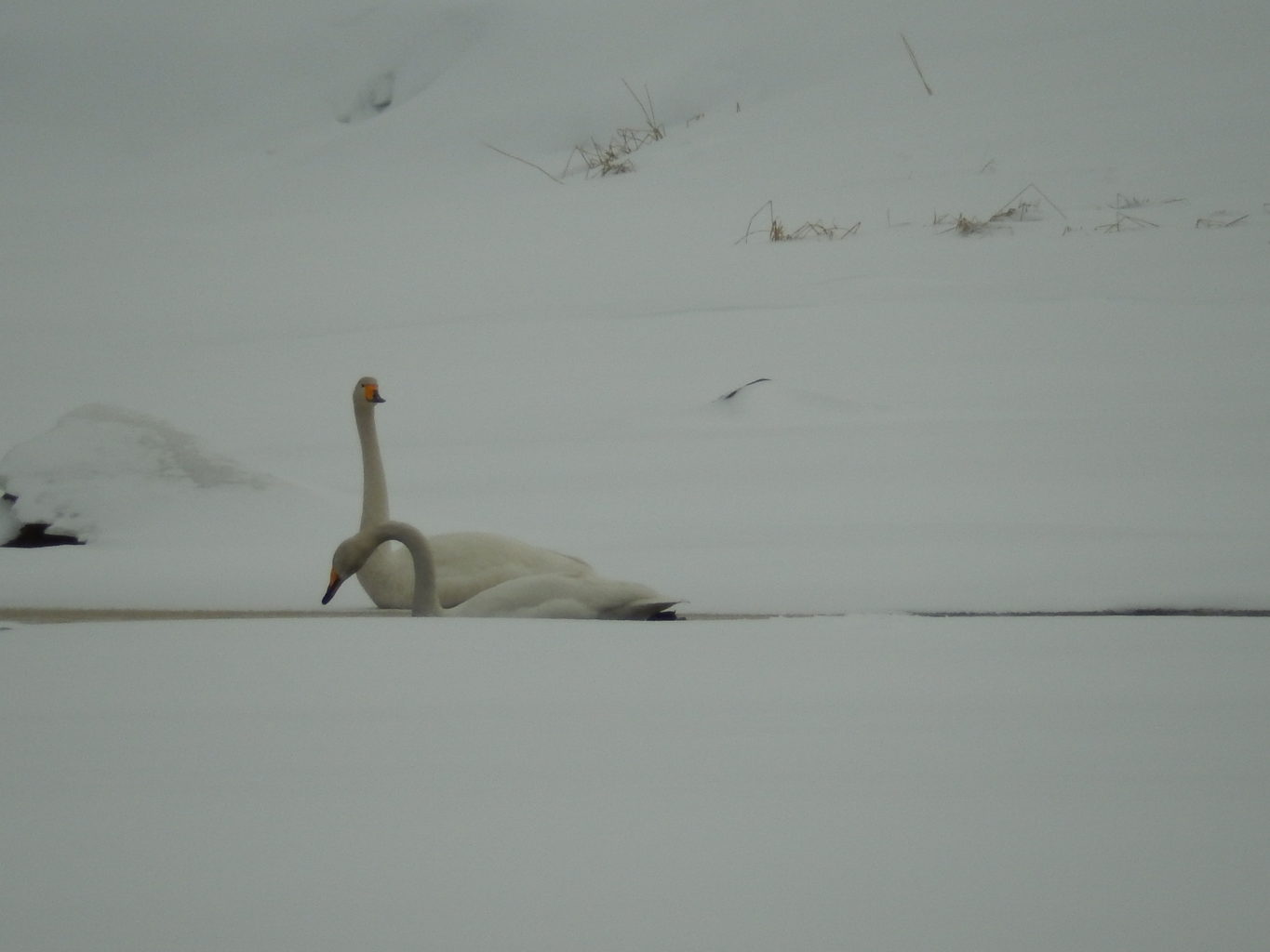 Valokuvaaja: Pirkko Siukonen