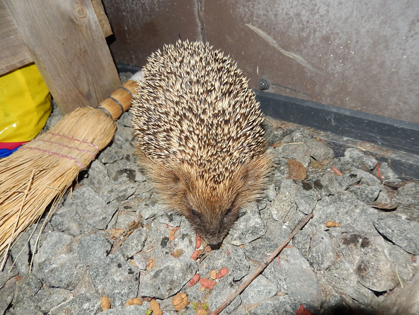 Valokuvaaja: Pirkko Siukonen