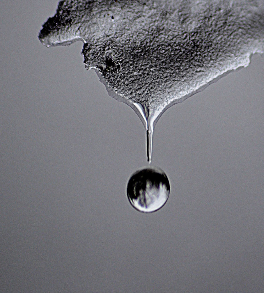 Valokuvaaja: Eija Varjola