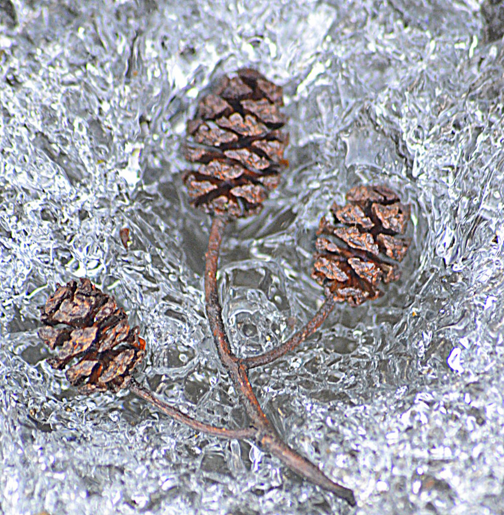 Valokuvaaja: Eija Varjola