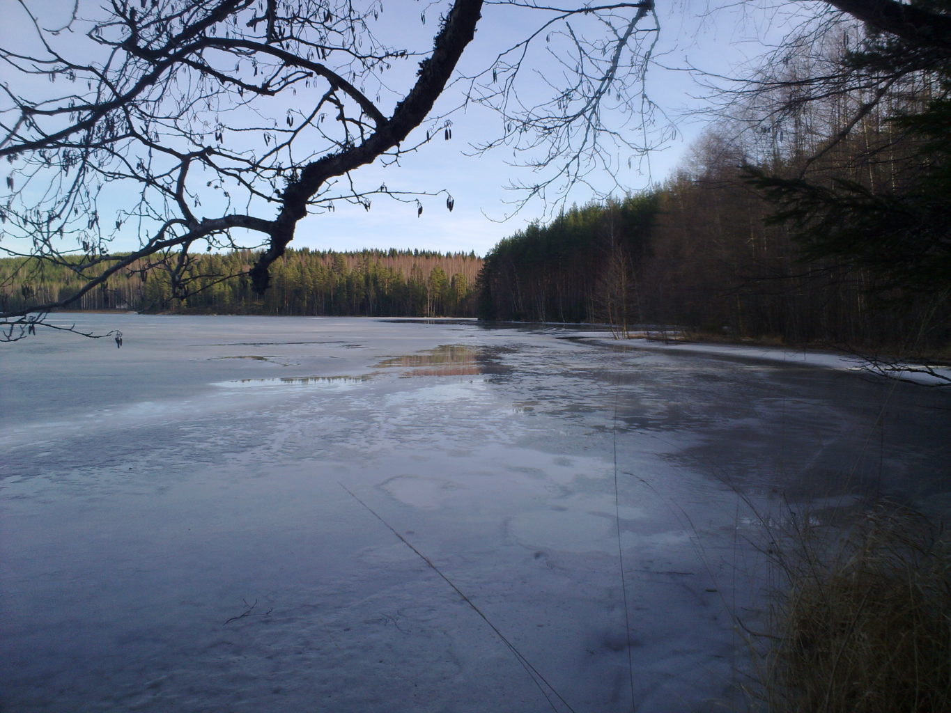Valokuvaaja: Jouko Eronen