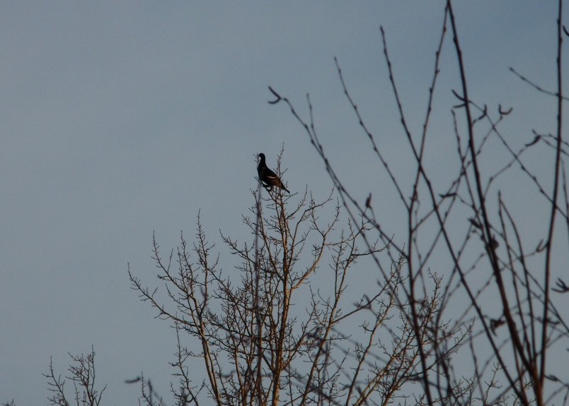 Valokuvaaja: Eeva-Liisa Kauhanen