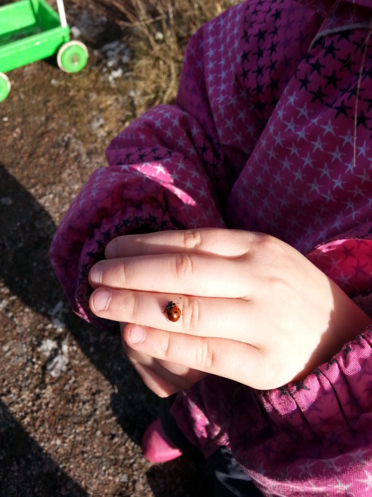 Valokuvaaja: Marita Selin