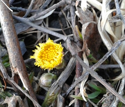 Valokuvaaja: Tuula Makkonen