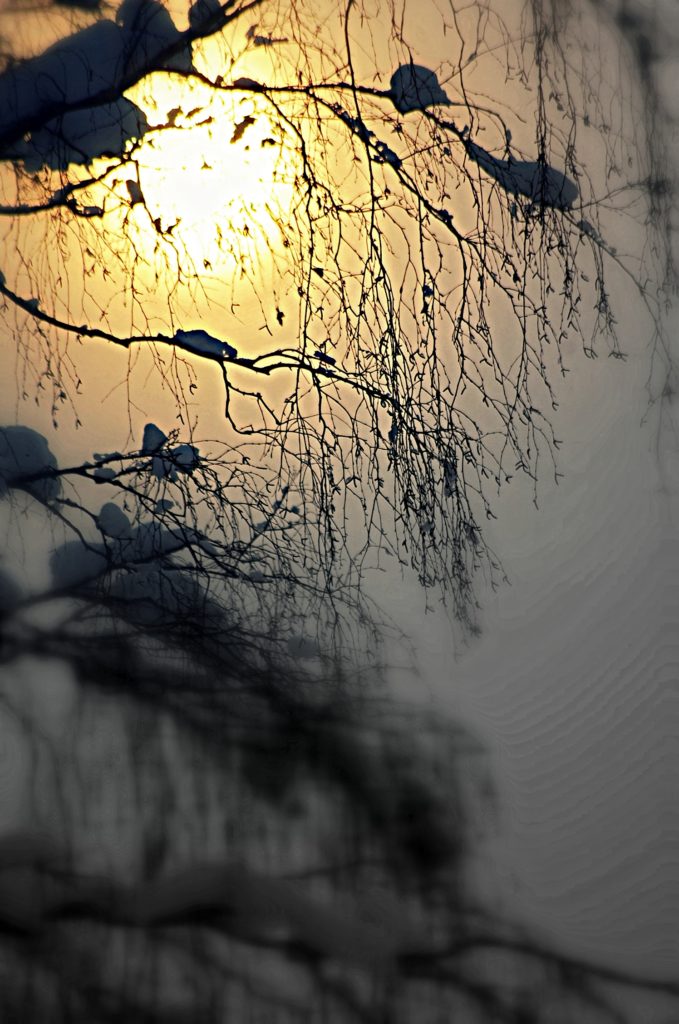 Valokuvaaja: Eija Varjola