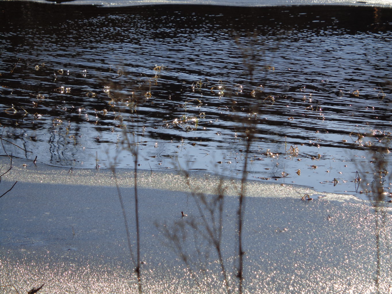 Valokuvaaja: Heli Heiniö