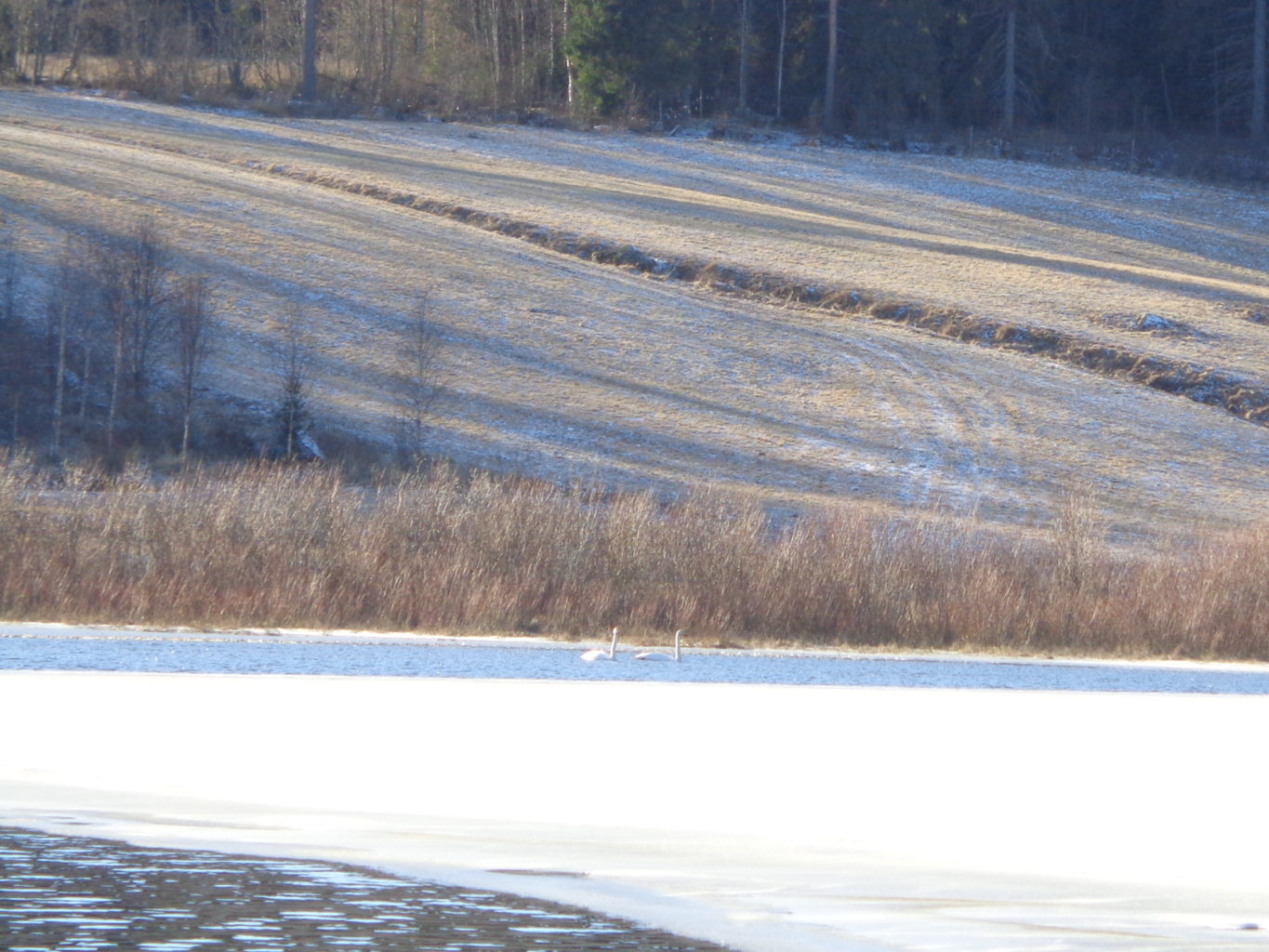 Valokuvaaja: Heli Heiniö