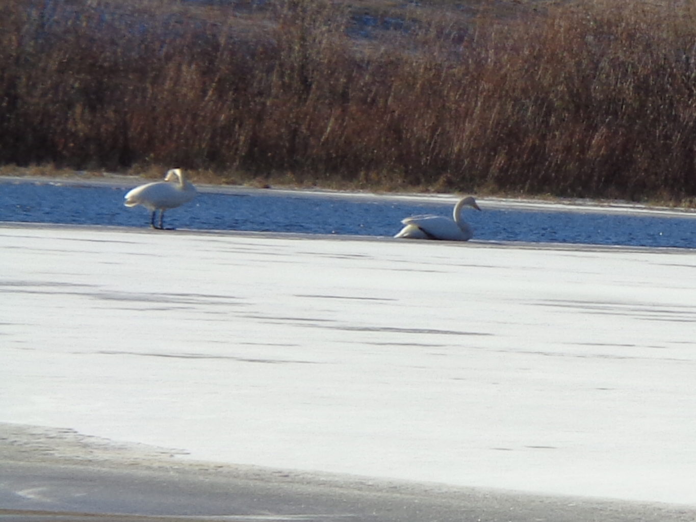 Valokuvaaja: Heli Heiniö