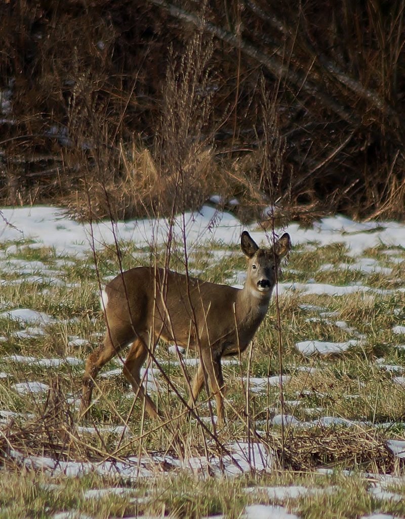 Valokuvaaja: Maarit Siitonen