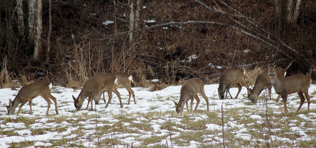 Valokuvaaja: Maarit Siitonen