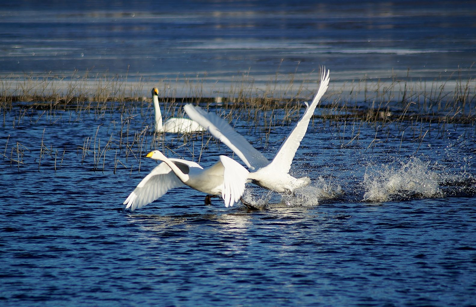 Valokuvaaja: Maarit Siitonen