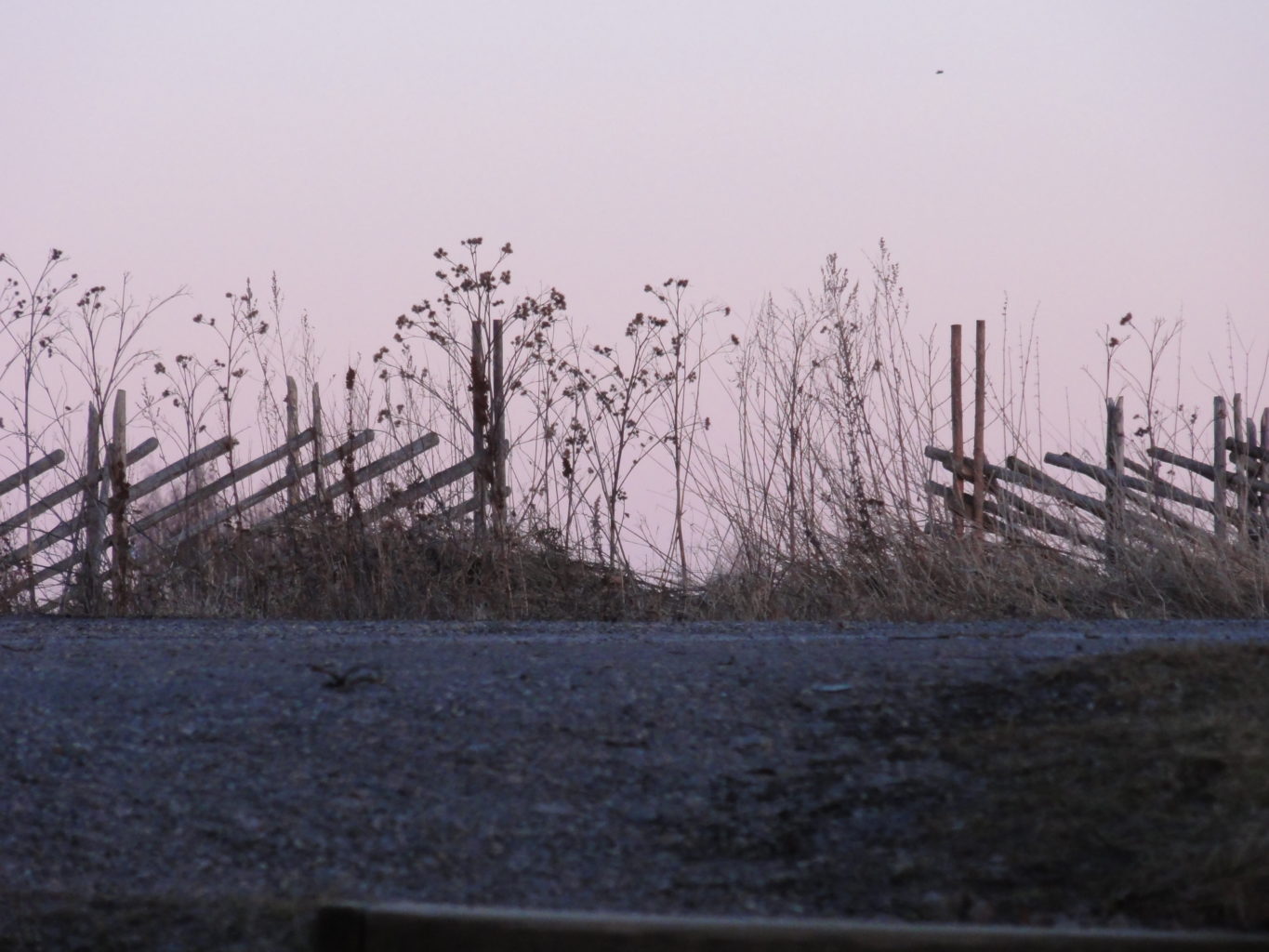 Valokuvaaja: Vuokko Virtanen