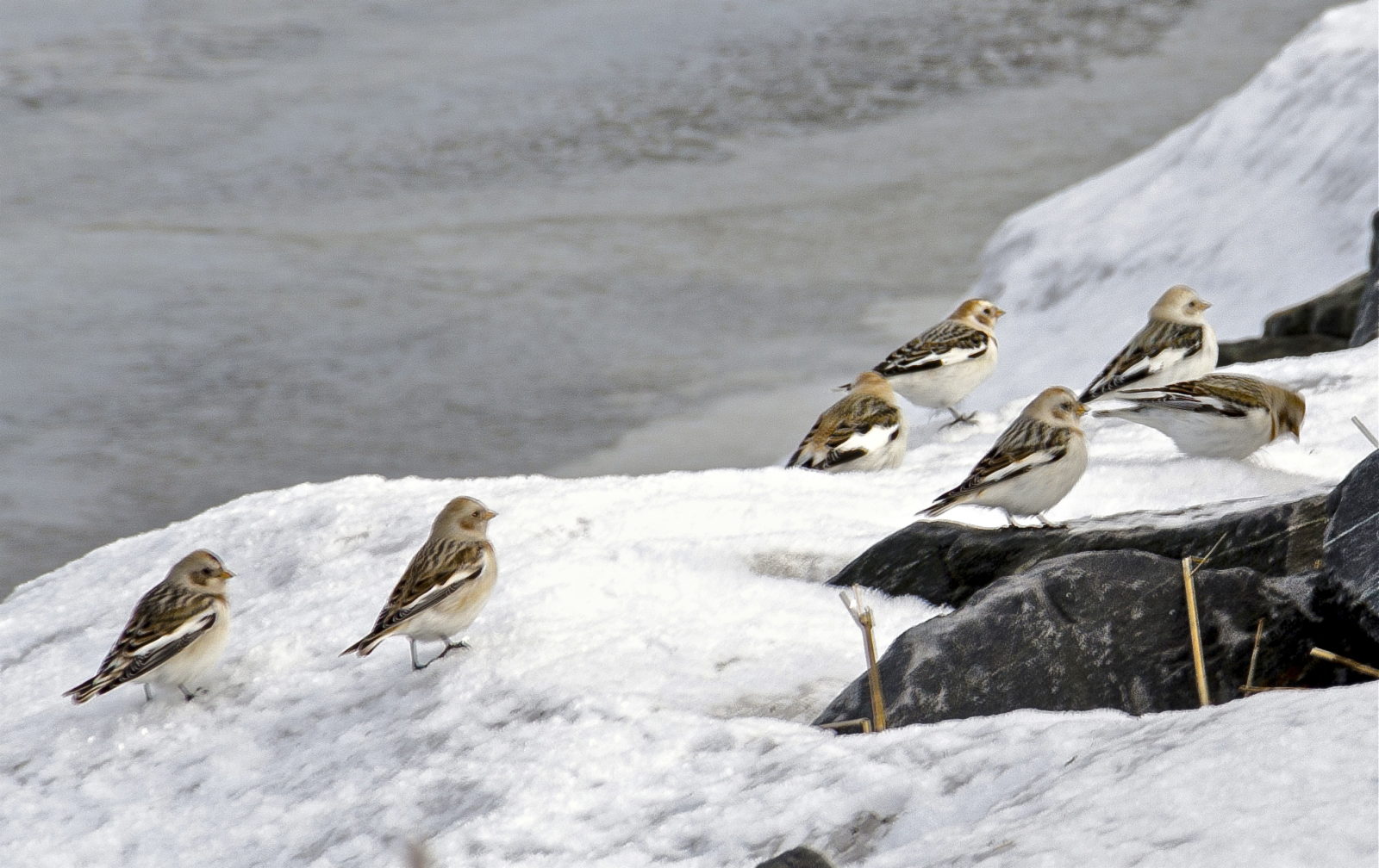 Valokuvaaja: Jouni Marttila