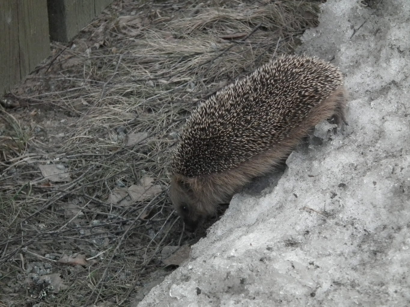 Valokuvaaja: Jaakko Myller