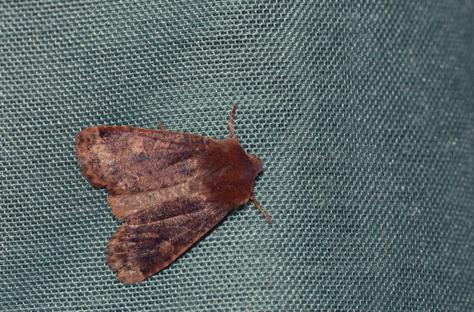 Valokuvaaja: Joni Sundström