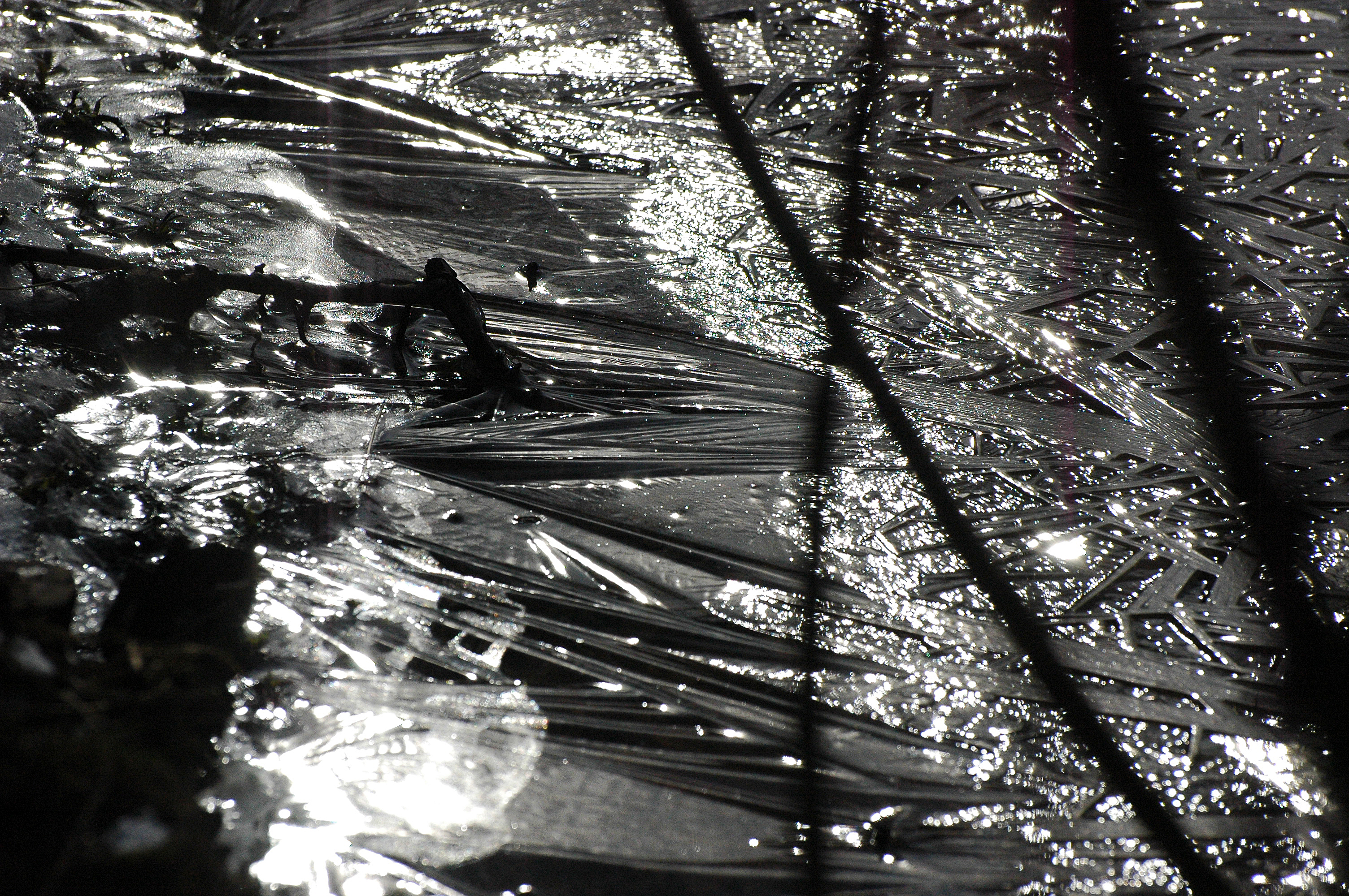 Valokuvaaja: Paavo Siukonen