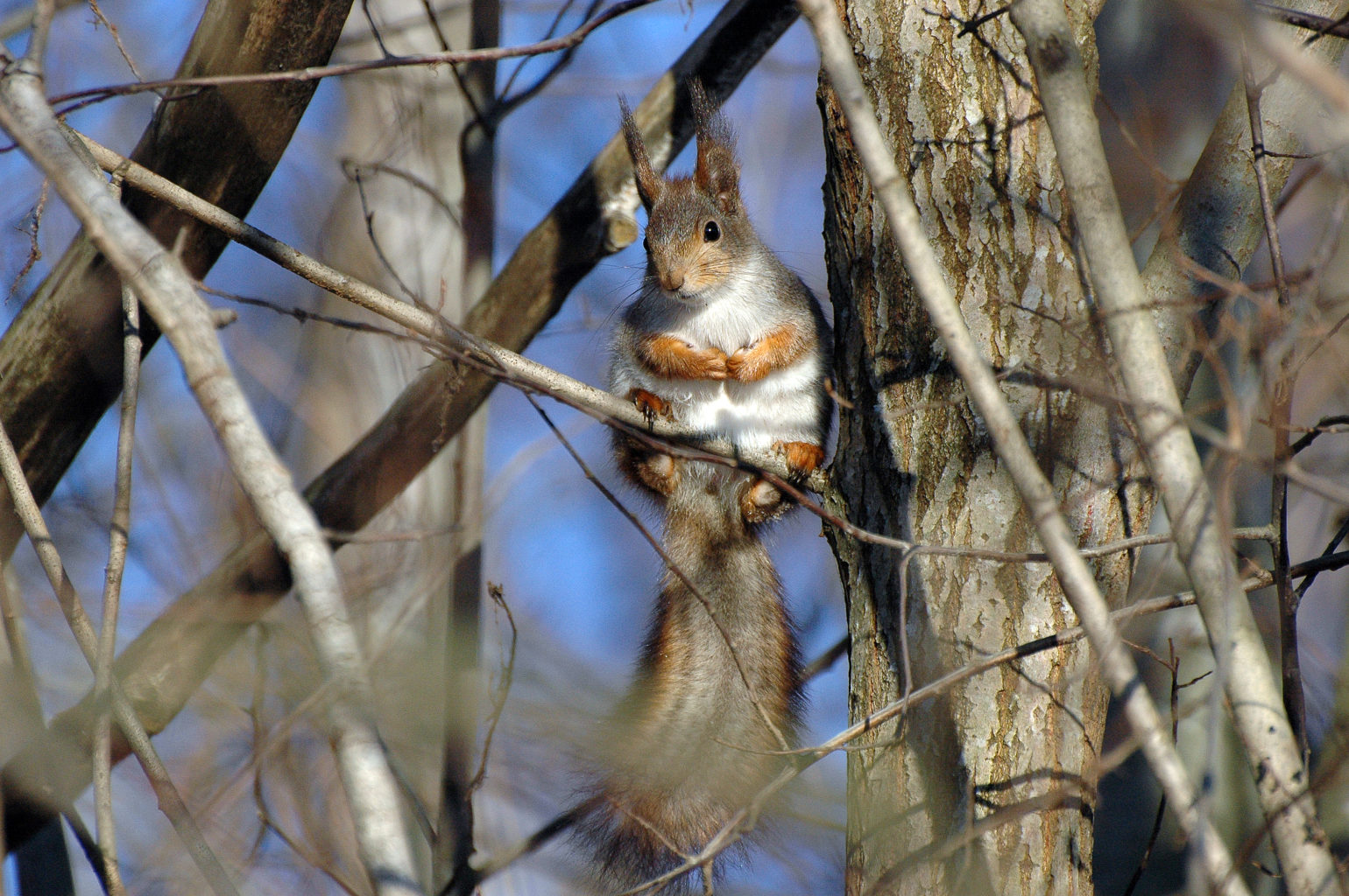 Valokuvaaja: Paavo Siukonen