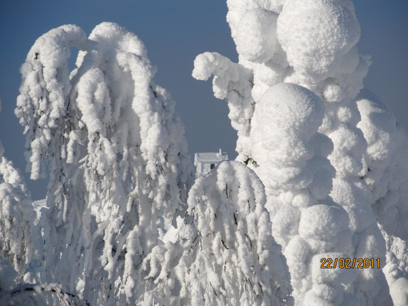 Valokuvaaja: Tuula Makkonen